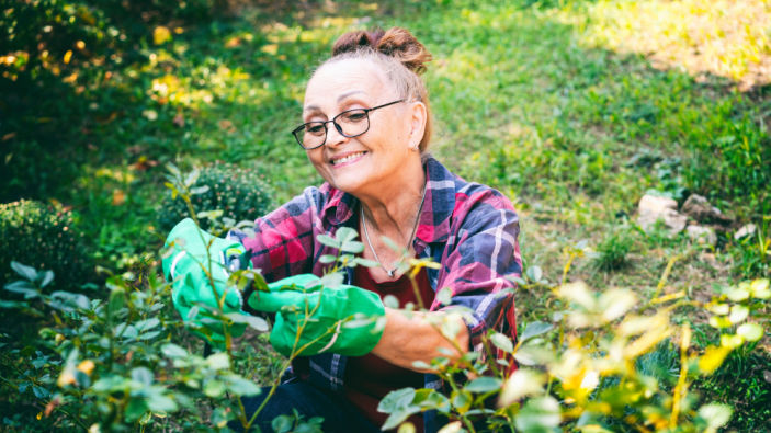 Ein Hobby, das gesund macht 