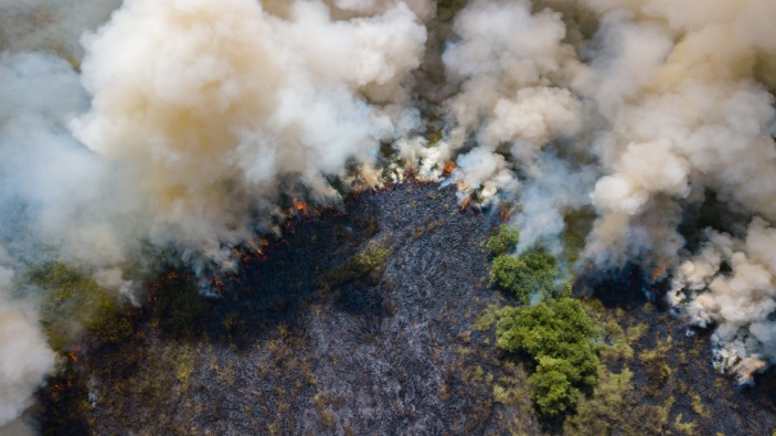 2024, otro año nefasto para la selva amazónica