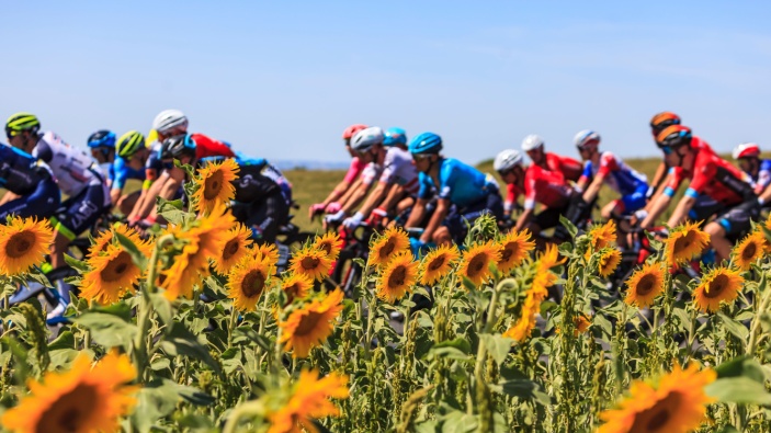 Le Tour de France, une passion populaire aux enjeux économiques colossaux