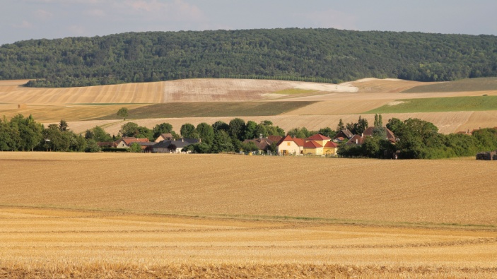 Le succès inédit d’une pétition menace la promulgation de la loi Duplomb, jugée anti-écologique