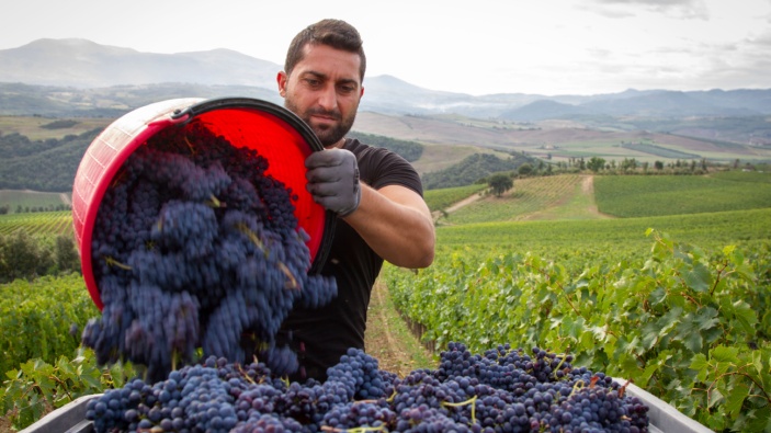 Il vino italiano esplora nuovi mercati 