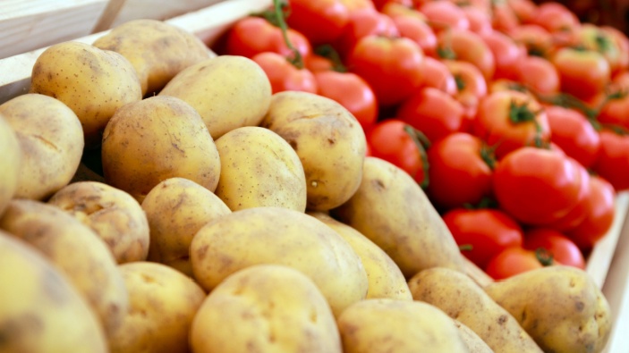 Genetische Studie verknüpft den Ursprung der Kartoffel mit der Tomate