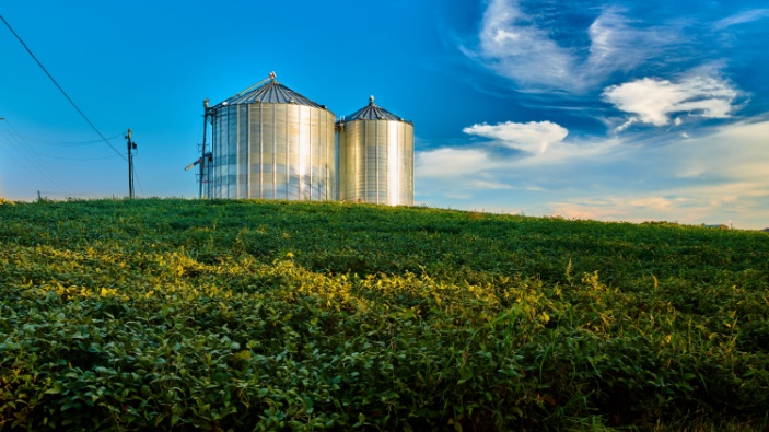 Guerra comercial entre Estados Unidos y China abre oportunidad para la soja sudamericana
