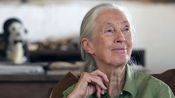 Jane Goodall, la mujer que nos enseñó a entender a los chimpancés