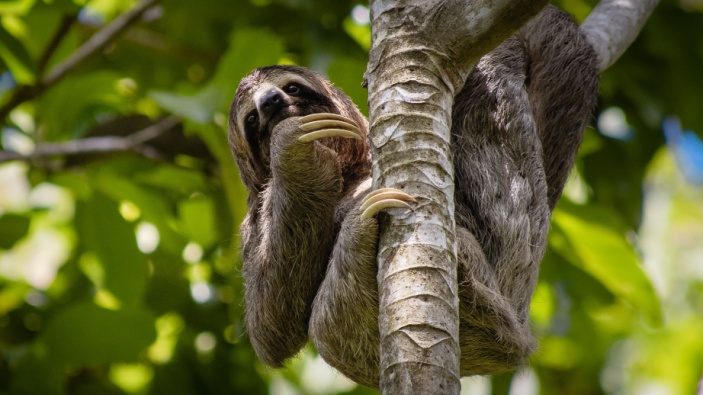 Costa Rica, imán para los ultrarricos del mundo