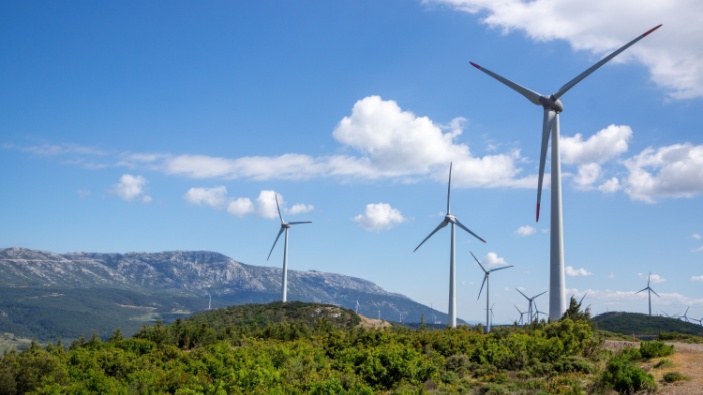 Las renovables superan al carbón como primera fuente de electricidad del mundo