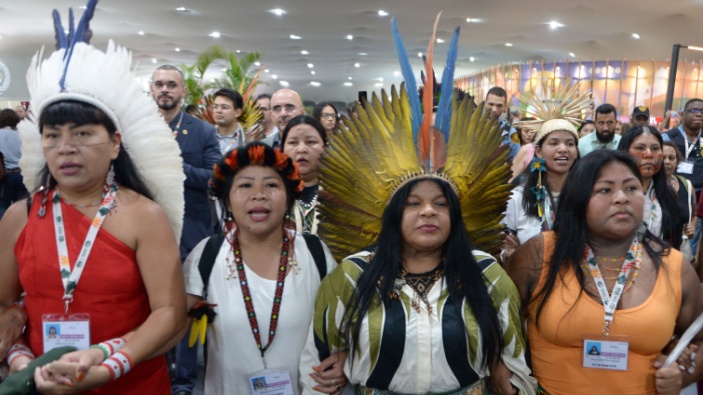 COP30: el mundo se la juega en Brasil 