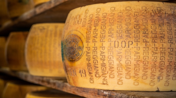 El parmesano quiere aparecer en cine y televisión