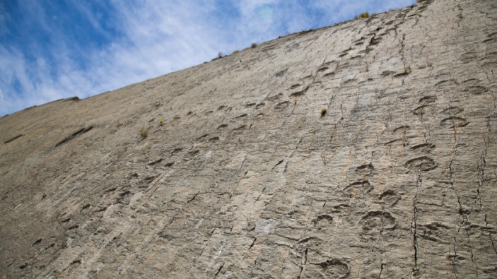 Científicos investigan más de 16.000 huellas de dinosaurio descubiertas en Bolivia