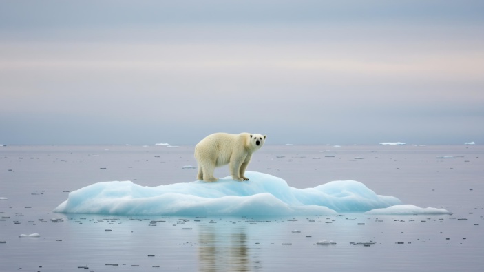 El calentamiento global se ensaña con la región del Ártico