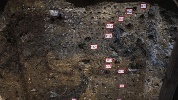 Las grandes historias sobre evolución humana del 2025