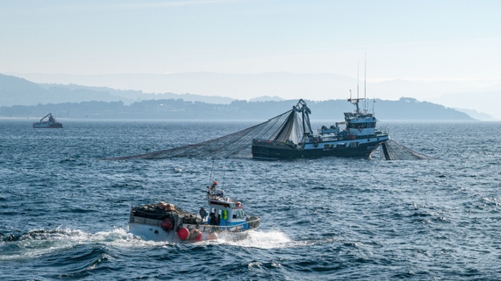 Los inmigrantes salvan la pesca en España