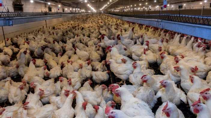 La grande distribution française s'oppose à la commercialisation de produits agricoles et de viande provenant du Mercosur