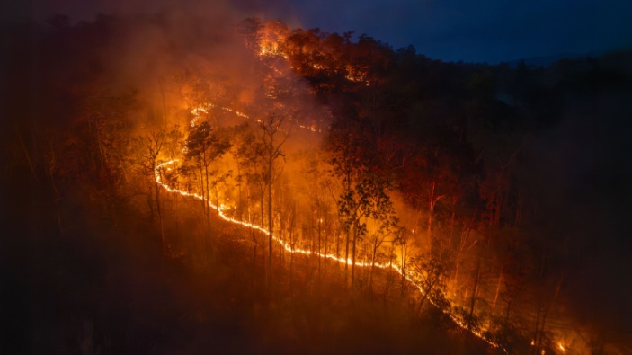 Incendios en el sur de Chile: el país decreta el estado de catástrofe
