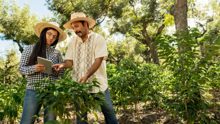 Latinoamérica tiene dificultades para integrar la IA a sus empresas
