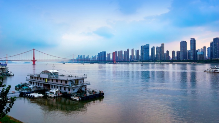 El río Yangtsé recupera su flora y fauna