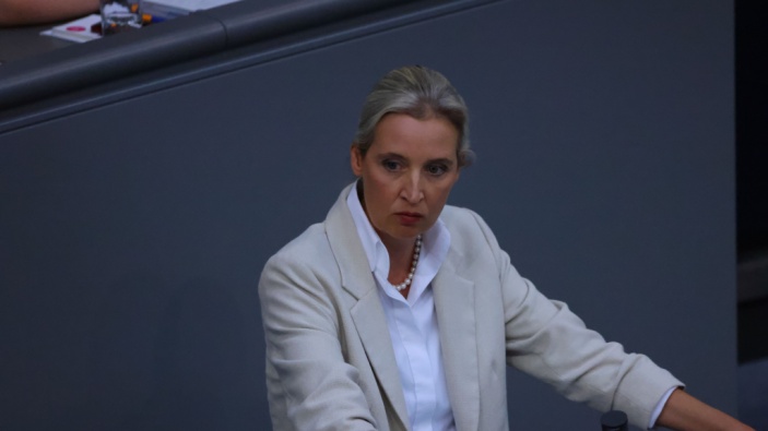 AfD hace coincidir su congreso con un aniversario nazi 