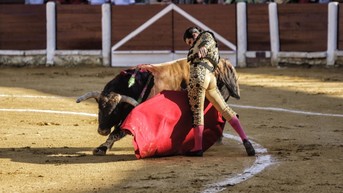 Morante vuelve a los ruedos en presencia del rey emérito