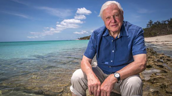 David Attenborough cumple 100 años 
