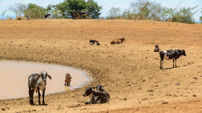 “El Niño” podría provocar este año un enorme impacto global
