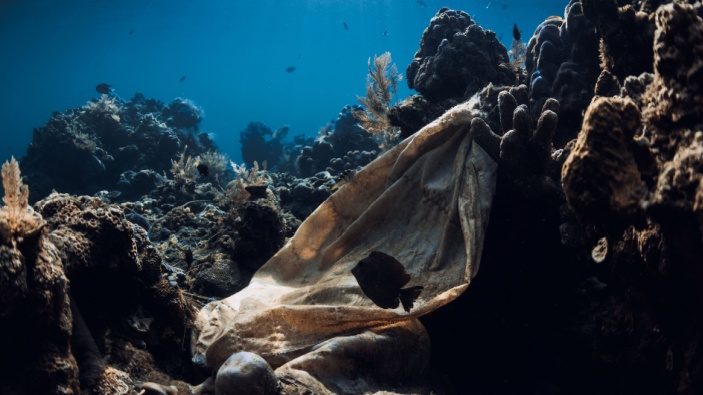 La basura alcanza las profundidades del Mar Argentino