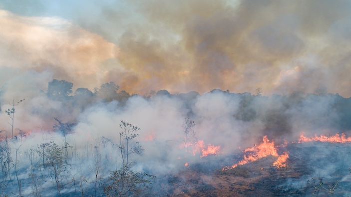 Les incendies dans la forêt amazonienne à leur plus bas niveau historique 