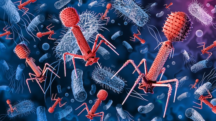 Gli scienziati utilizzano l’intelligenza artificiale per creare nuovi virus in grado di uccidere i batteri
