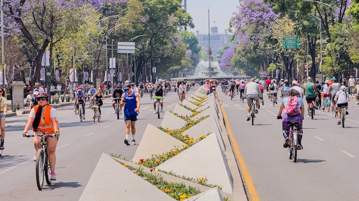 Ciudad de México busca plantar un millón de árboles autóctonos