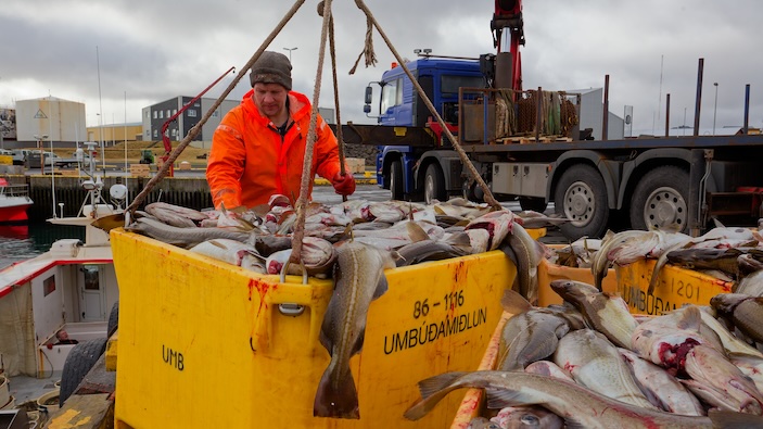 L’Islande dit « ekki » à l’Europe 