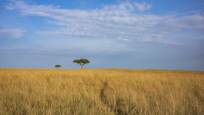 Un nuevo mapamundi hace justicia a la grandeza de África